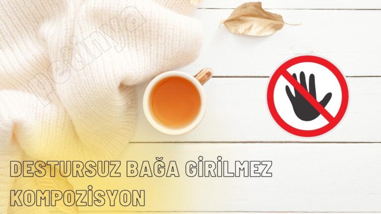 Destursuz Bağa Girilmez Kompozisyon