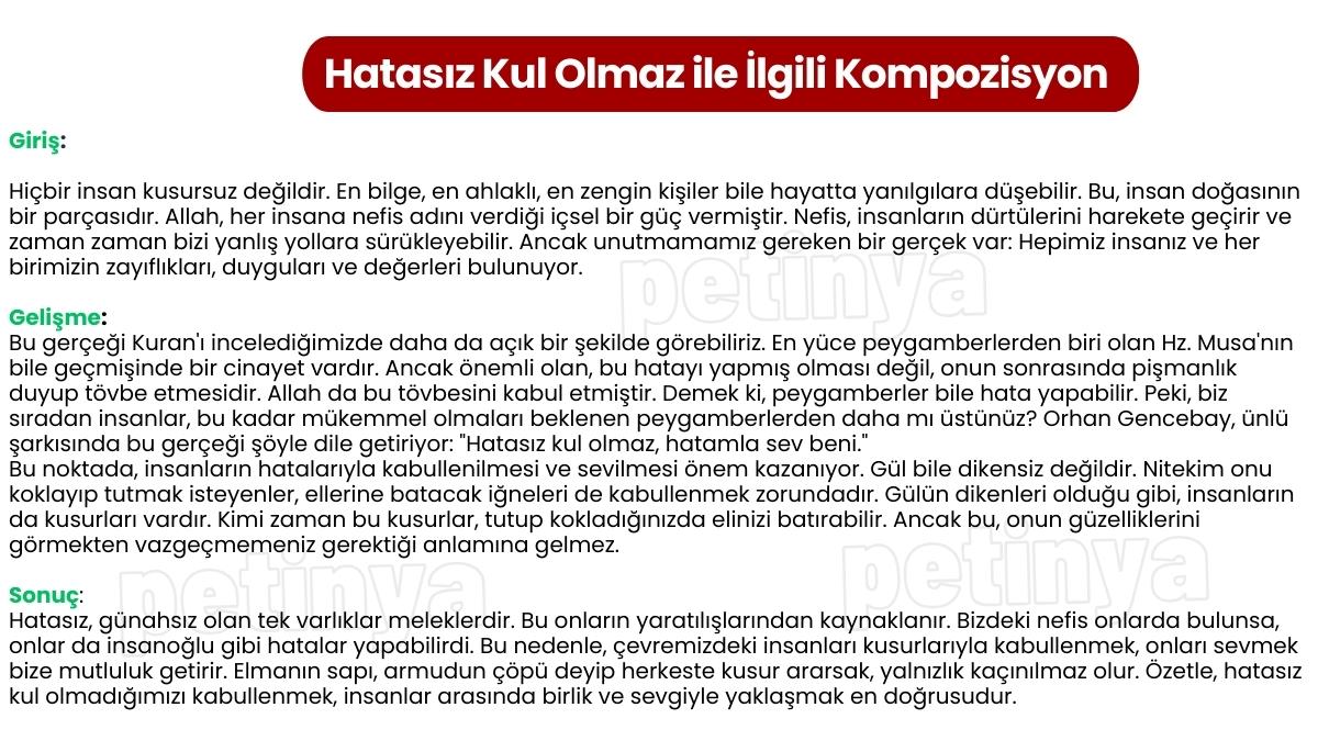 Hatasız Kul Olmaz