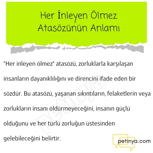 Her İnleyen Ölmez Atasözünün Anlamı