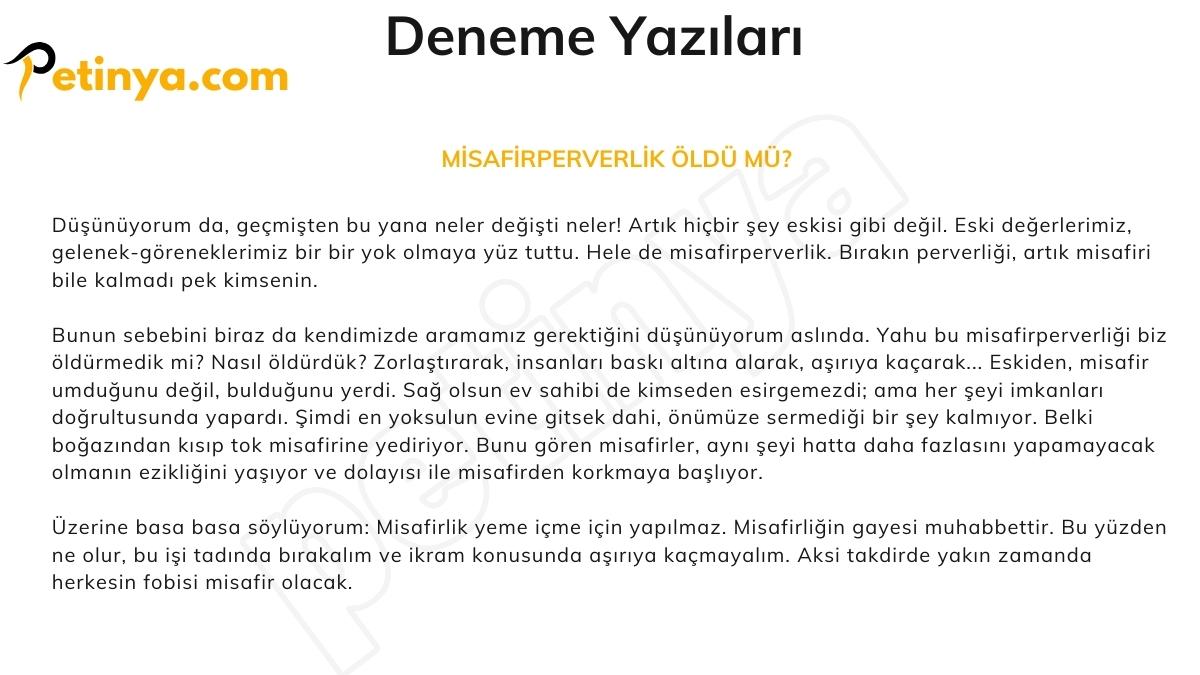 Deneme Örnekleri - Deneme Yazıları MİSAFİRPERVERLİK ÖLDÜ MÜ?