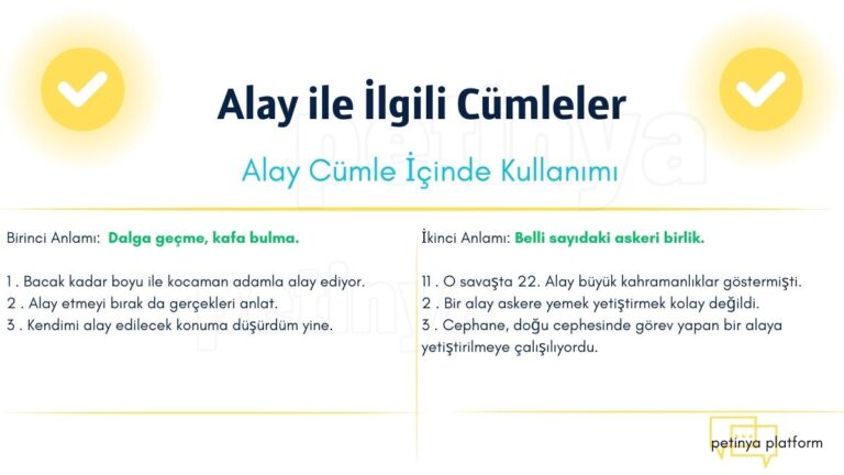 Alay Kelimesi ile İlgili Cümleler