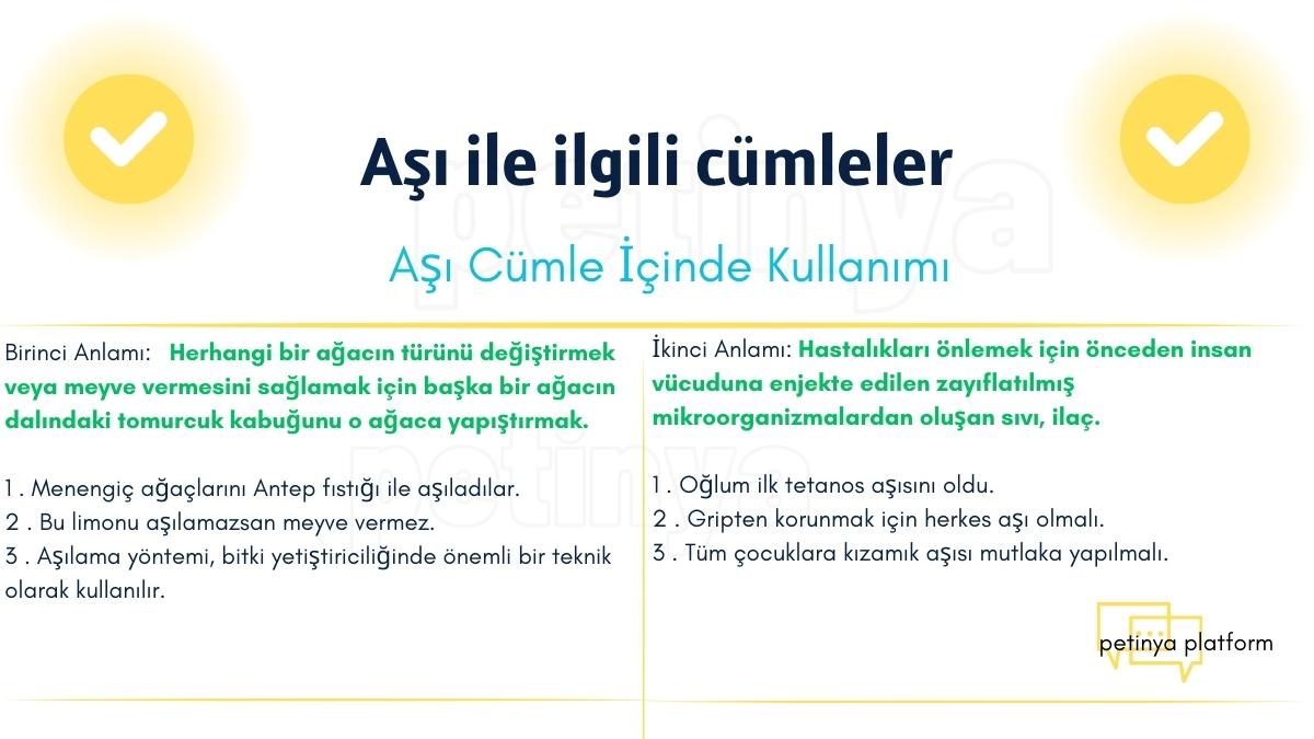 Aşı Kelimesi ile İlgili Cümleler