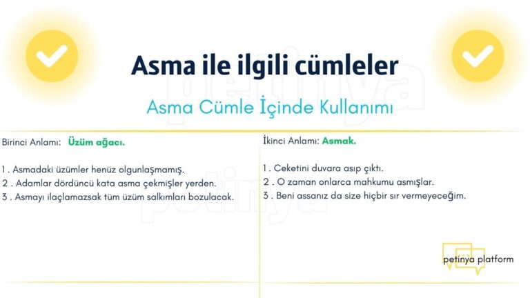 Asma Kelimesi ile İlgili Cümleler