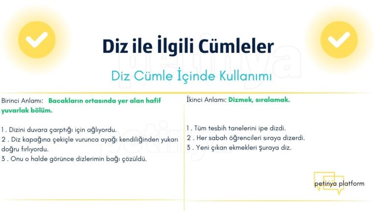 Diz Kelimesi ile İlgili Cümleler