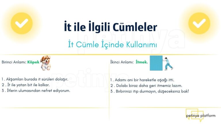 İt ile İlgili Cümleler