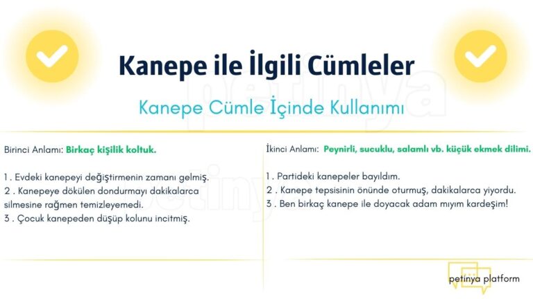 Kanepe ile İlgili Cümleler