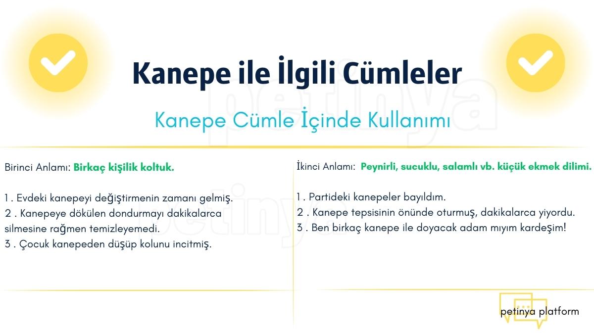 Kanepe ile İlgili Cümleler