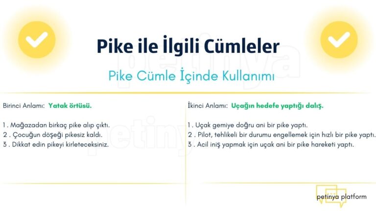 Pike ile İlgili Cümleler