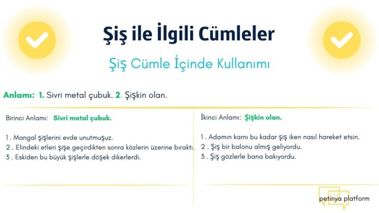 Şiş ile İlgili Cümleler