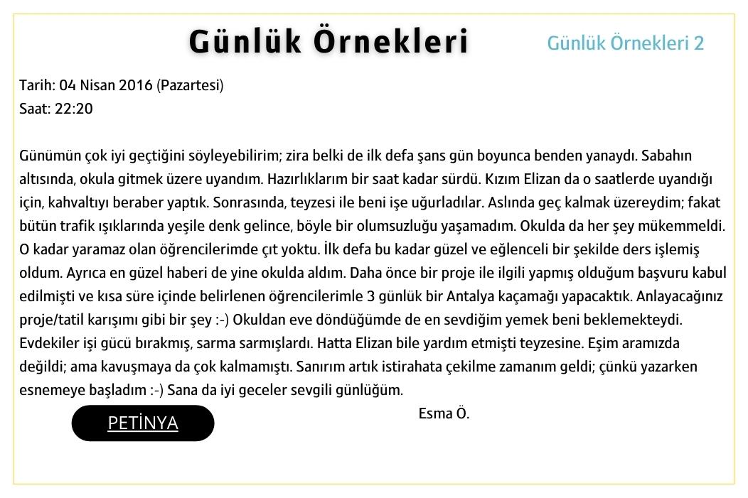 gunluk ornekleri 2