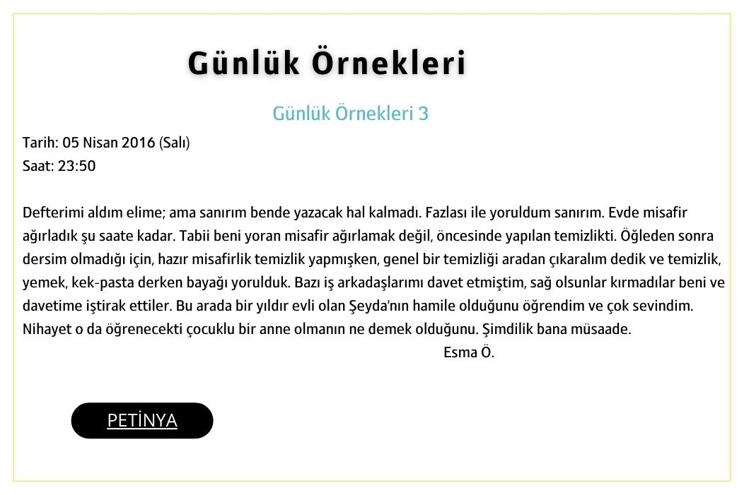 gunluk ornekleri 3