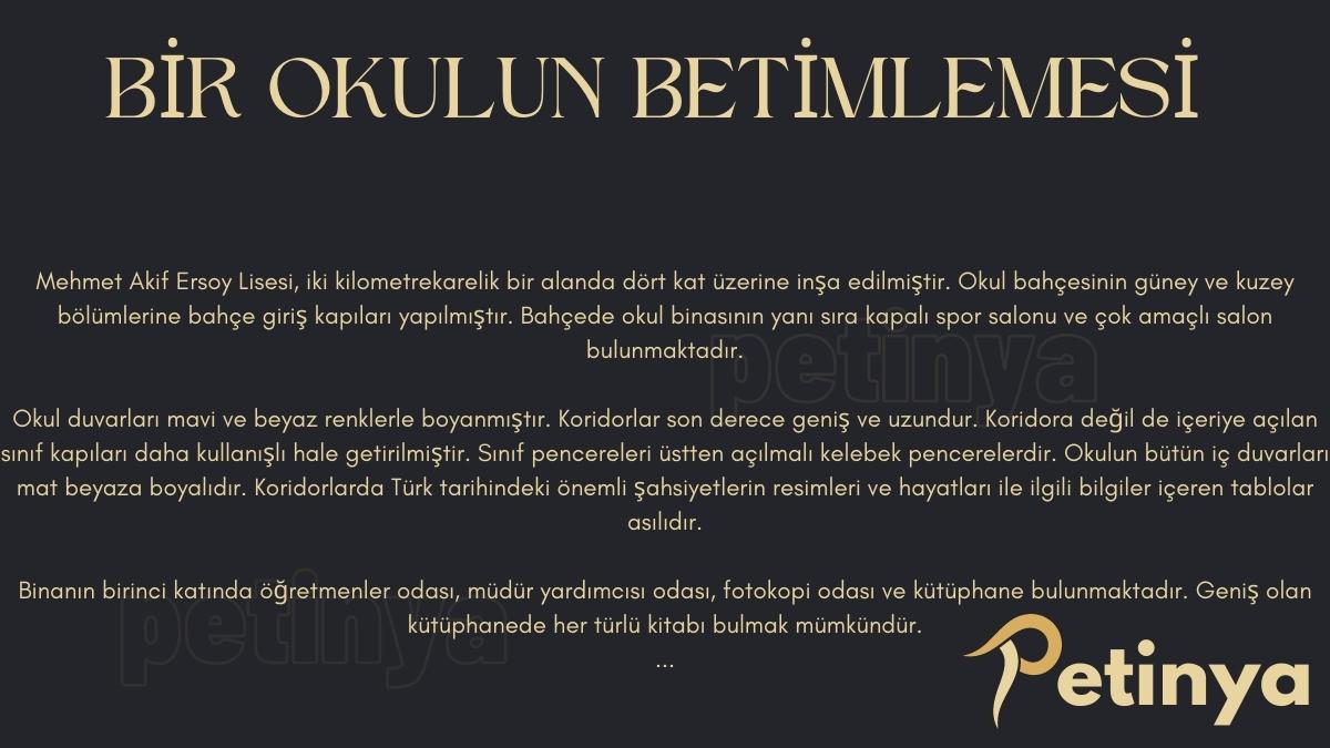 Bir Okulun Betimlemesi