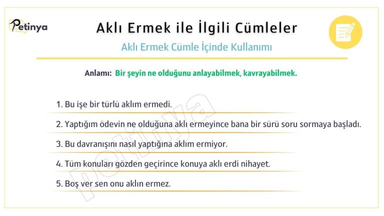 akli ermek ile ilgili cumleler