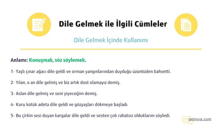 dile gelmek ile ilgili cumleler