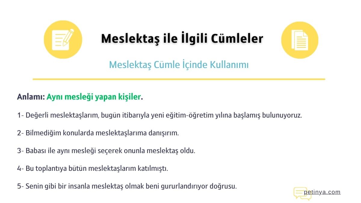 meslektas ile ilgili cumleler