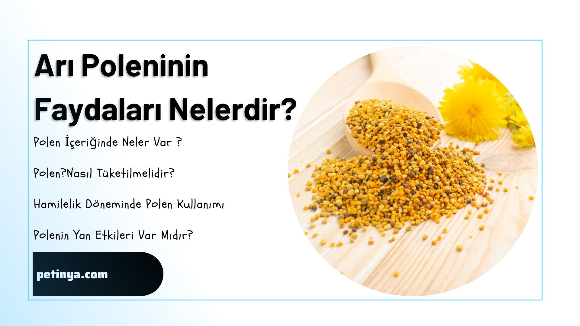 Ari Polenin Faydalari Nelerdir 1