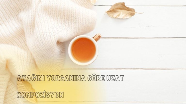 Ayağını Yorganına Göre Uzat Kompozisyon