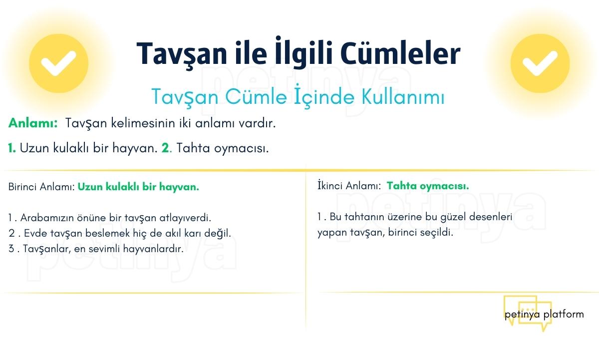 Tavşan ile İlgili Cümleler